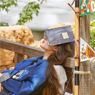 冒险小虎队：龙山之旅